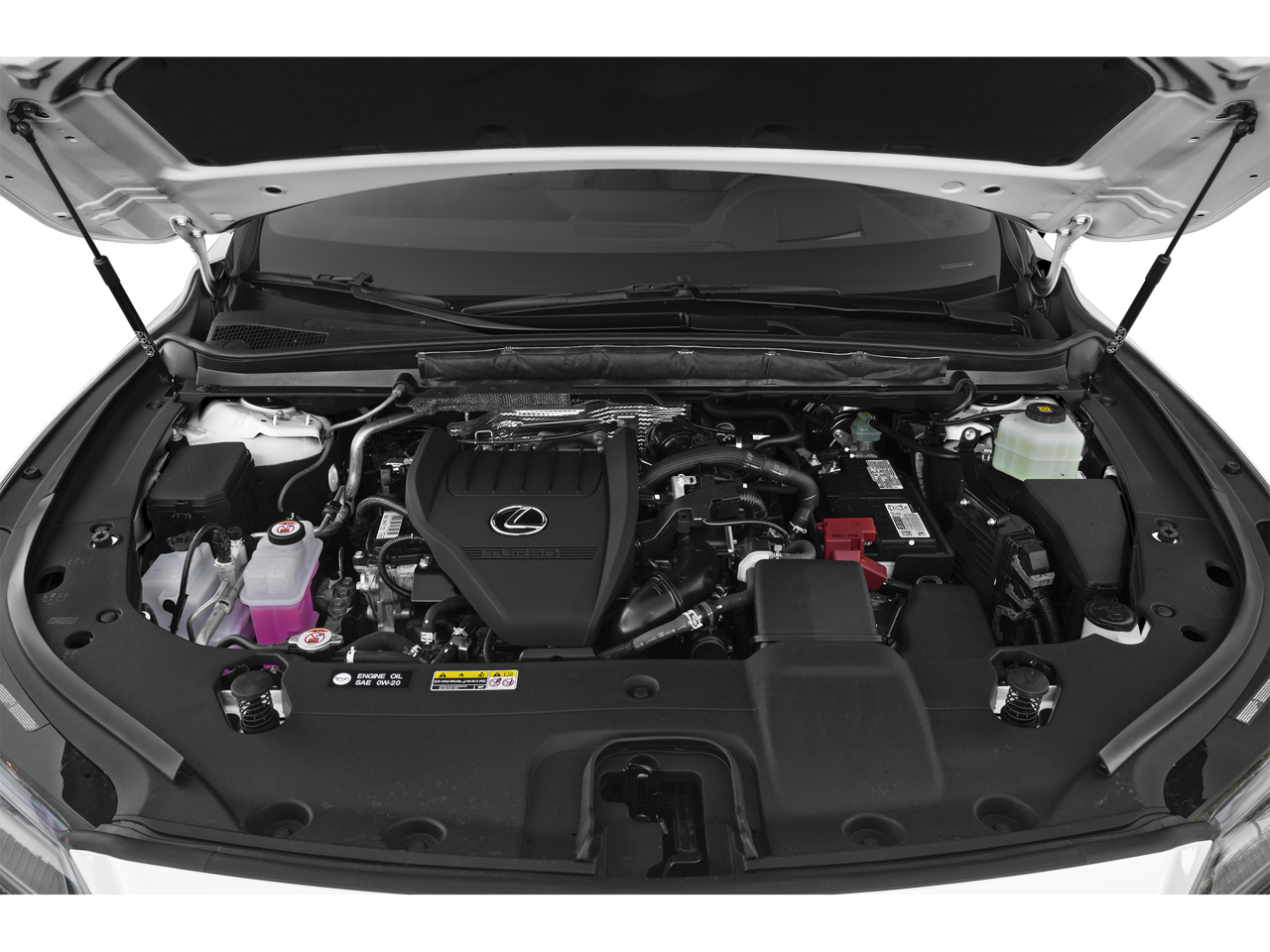 2023 Lexus RX 350 Luxury