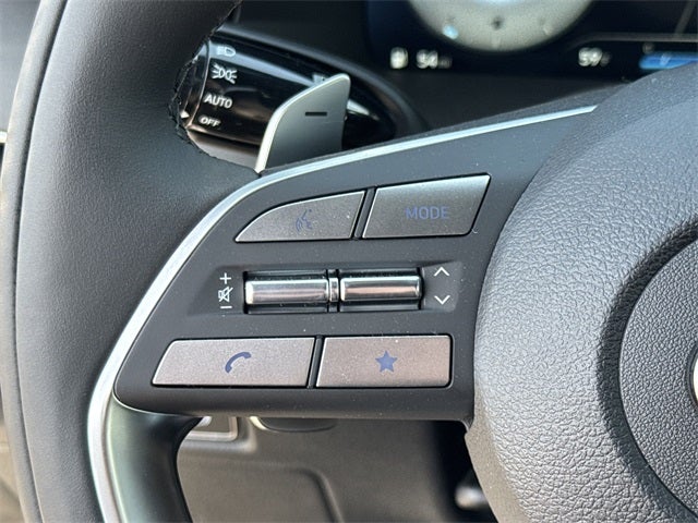 2025 Hyundai PALISADE Calligraphy Night Edition AWD