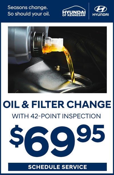 Oil and Filter Change with 42-Point Inspection